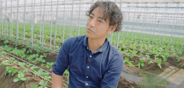 農作物にいちごを選んだ“戦略的な理由”とは