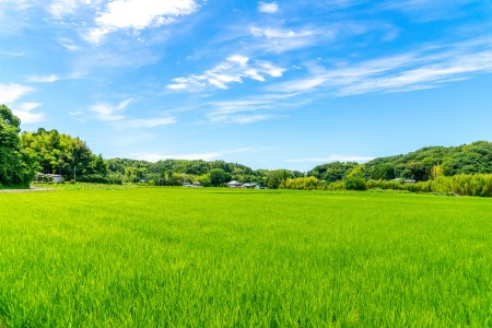 田舎起業のアイデア_田園エリア