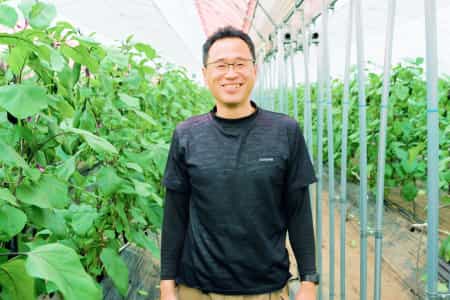 alt自然災害でナスがほぼ全滅…それでもナス栽培を続ける理由