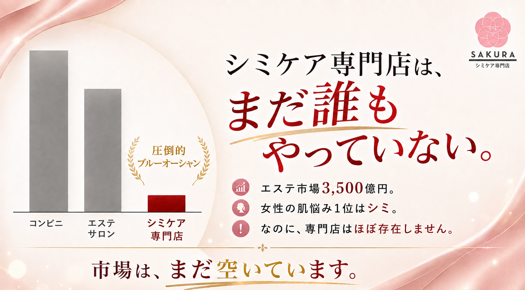 3,500億円市場なのに専門店はほぼゼロ！　不動の肌悩み1位「シミ・そばかす」に特化した美容FC