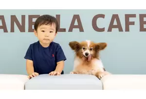 フランチャイズ事業の説明