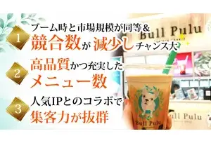 Bull Puluの事業イメージ