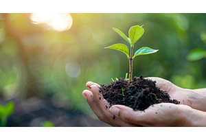 植物ネット物販 Green Flowの事業イメージ