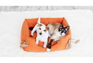 フランチャイズ事業の説明