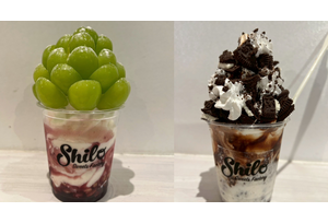 フランチャイズ事業の説明