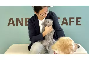 フランチャイズ事業の説明