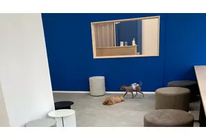 フランチャイズ事業の説明