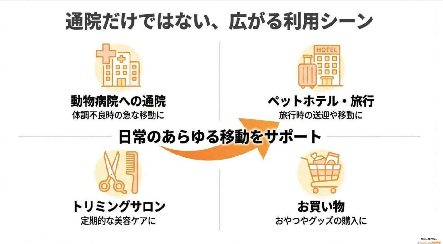 【自己資金77万円】地域密着型のペットタクシー事業がもたらす本業とのシナジー効果