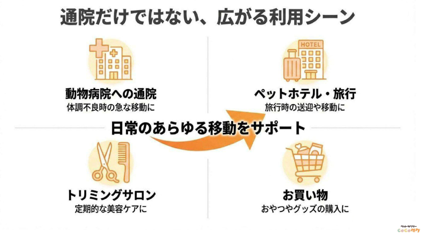 【自己資金77万円】地域密着型のペットタクシー事業がもたらす本業とのシナジー効果