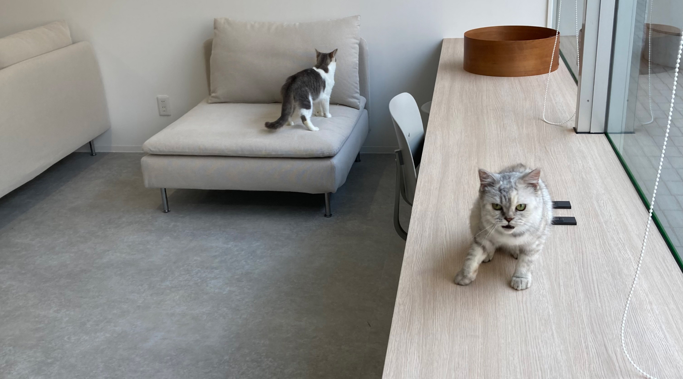 社会貢献と安定収益を同時に叶える、次世代のフランチャイズ