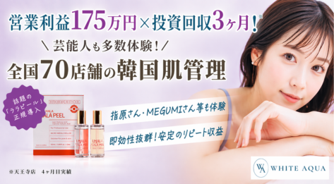 粗利90%の最新ビジネス！韓国美容トレンドを取り入れたサロン経営で高収益を実現